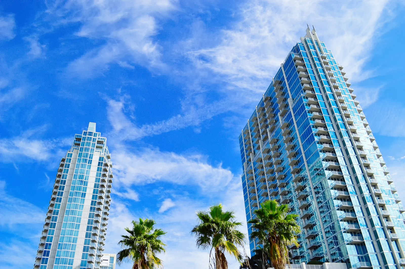 green palm trees near high rise buildings under blue sky during daytime